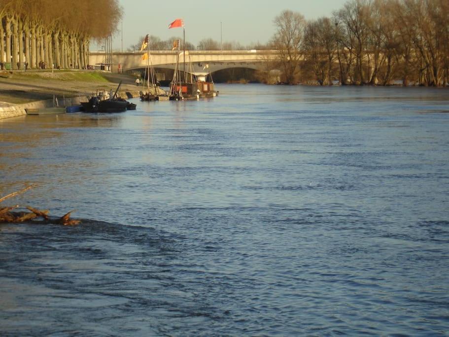 Appart Gite Les Oiseaux- Face Loire Quai Du Chatelet Орлеан Екстериор снимка